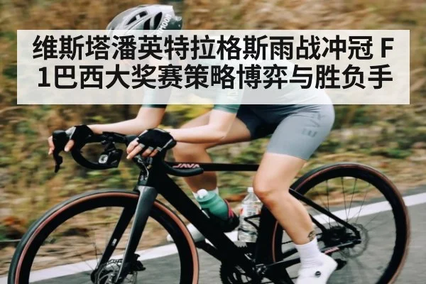 维斯塔潘英特拉格斯雨战冲冠 F1巴西大奖赛策略博弈与胜负手